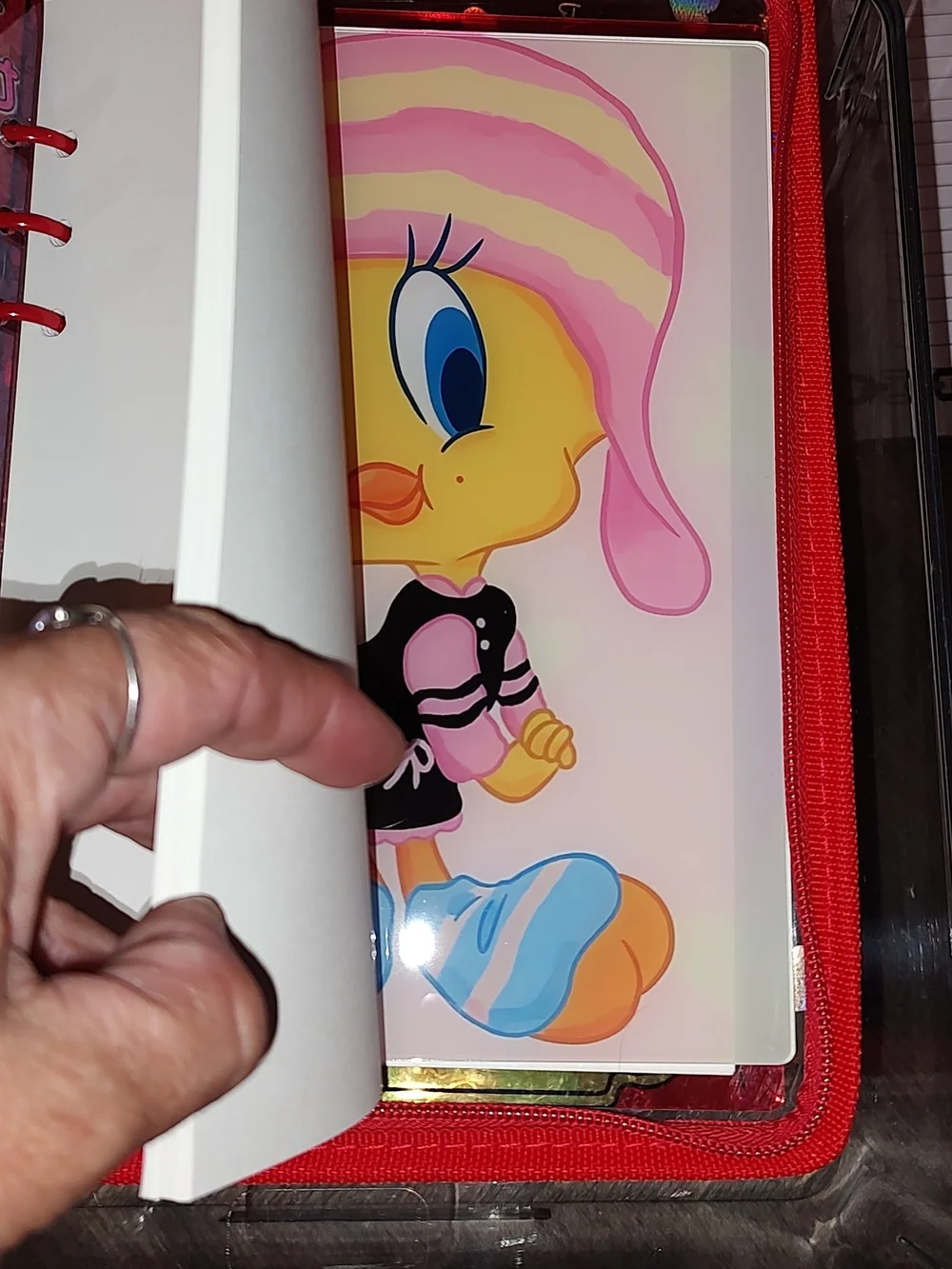 New! A5 Size Tweety Bird Acrylic Shaker Notebook